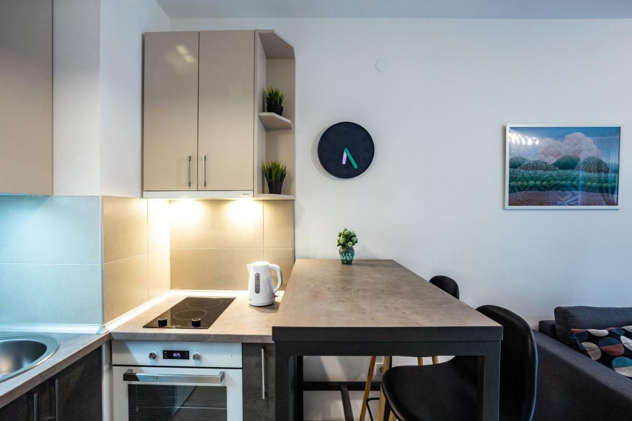 Modern Naive Downtown With Free Private Garage-Fast Wi-Fi Διαμέρισμα Νόβι Σαντ Εξωτερικό φωτογραφία
