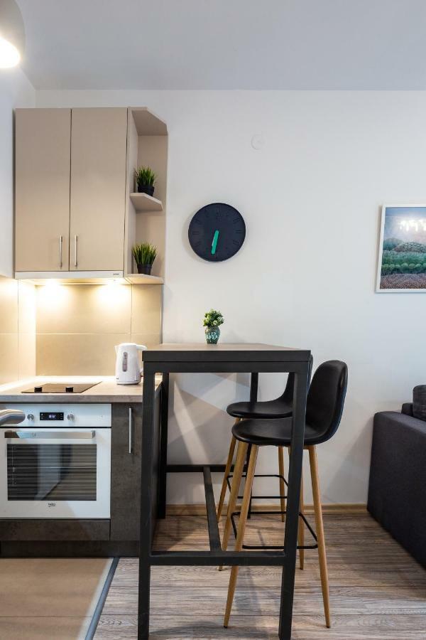 Modern Naive Downtown With Free Private Garage-Fast Wi-Fi Διαμέρισμα Νόβι Σαντ Εξωτερικό φωτογραφία